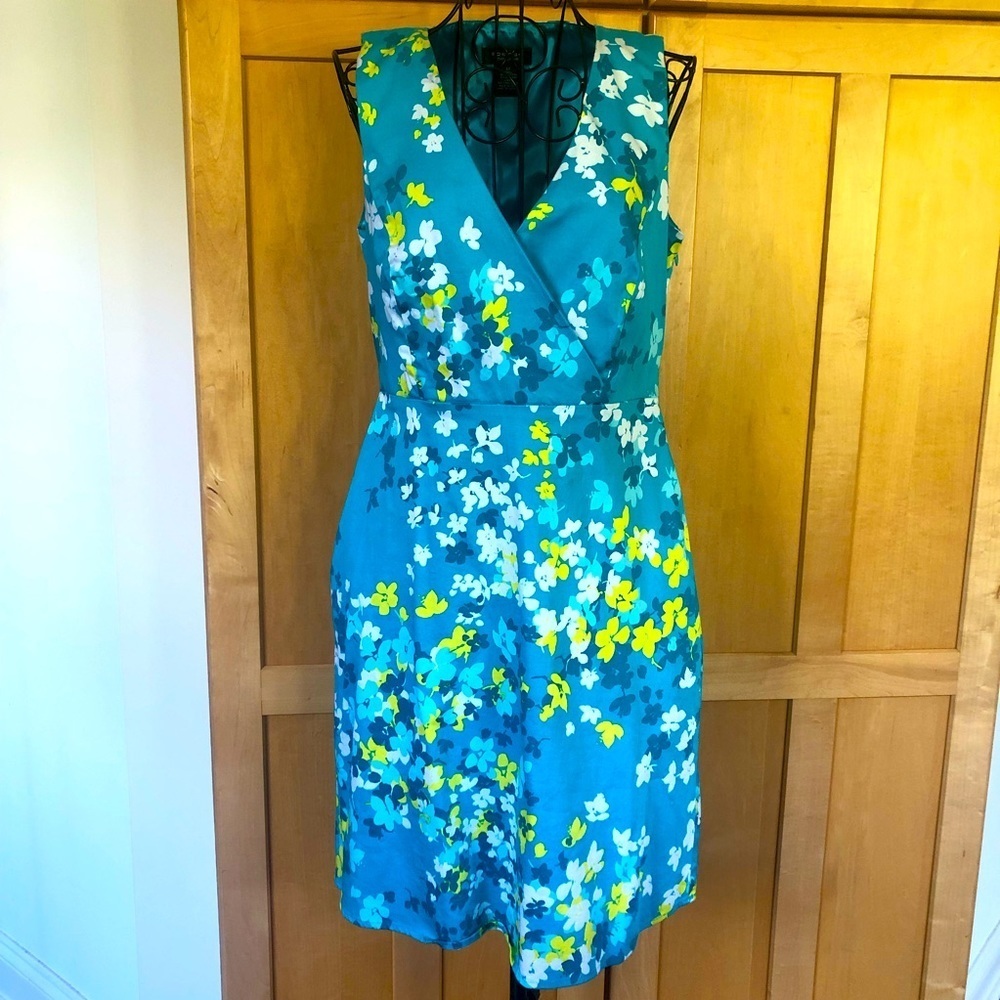 Spense Petite Blue Floral Sleeveless V Neck Dress size 6 Petite